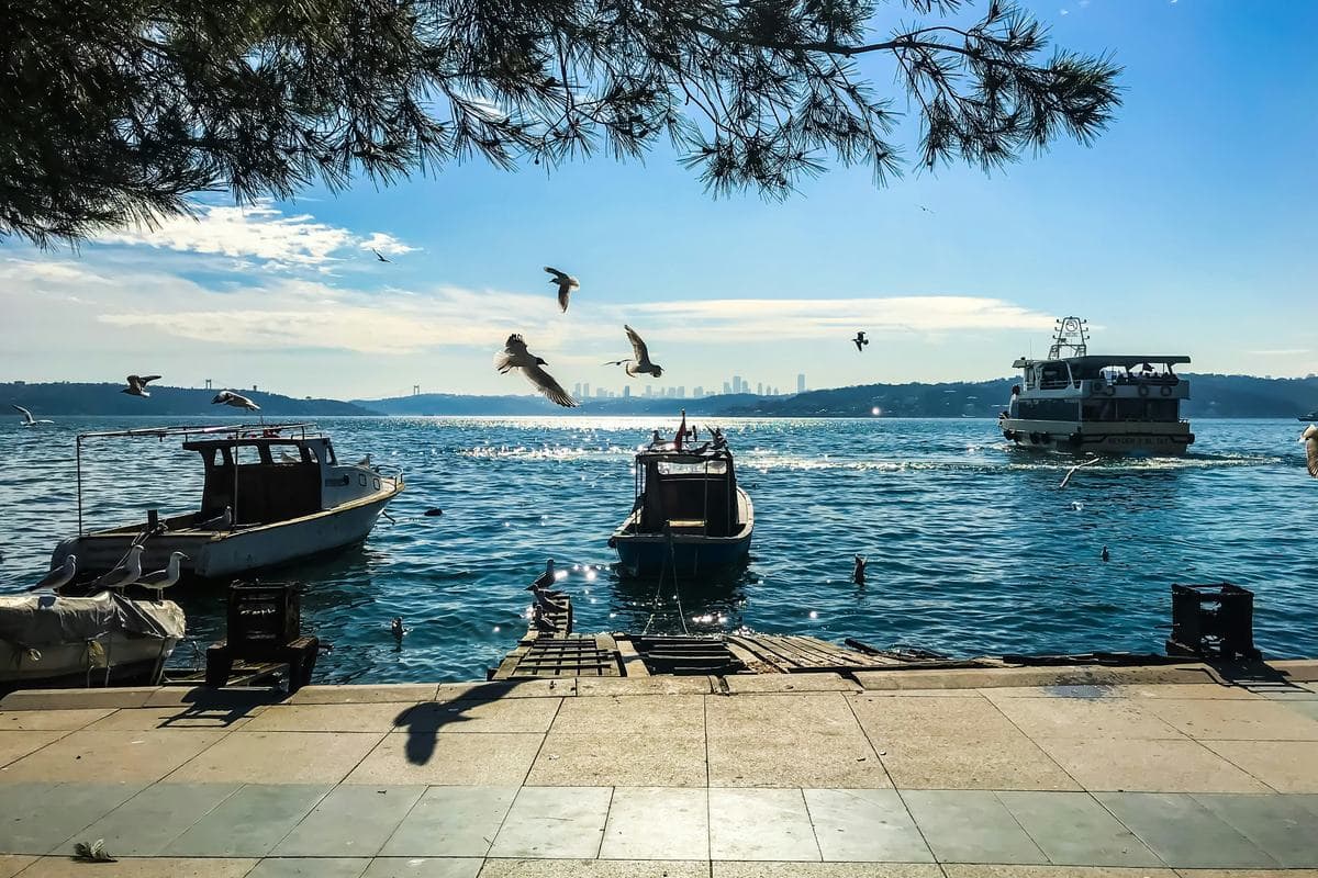 Beykoz: A Bosphorus District with Green Landscapes and Ottoman Heritage