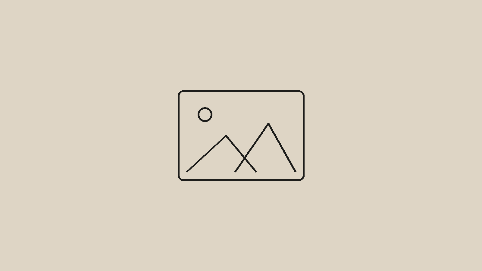 Placeholder graphic — no real photo has been added yet.